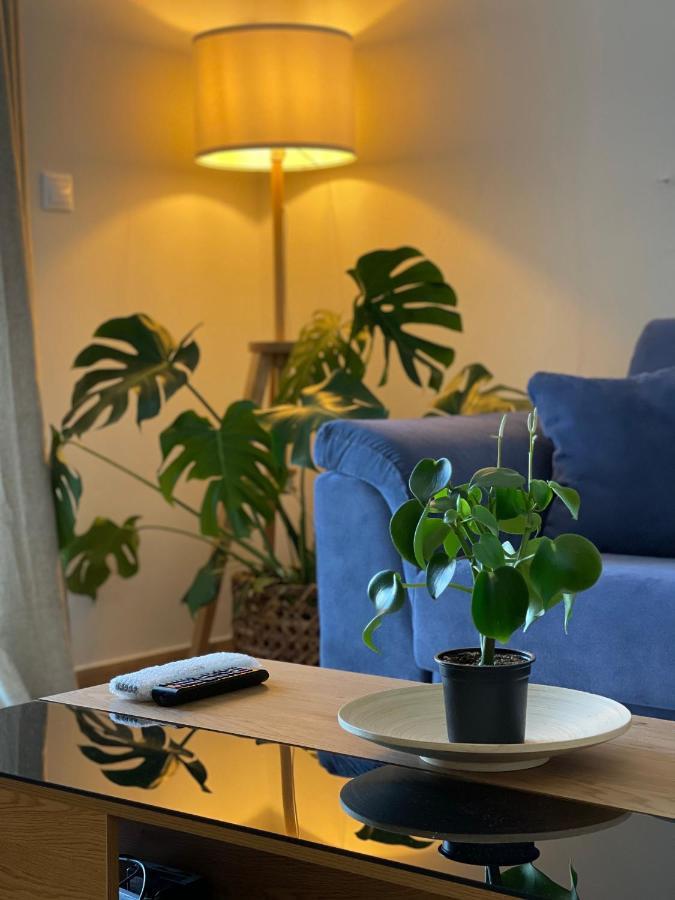 Cosy Apartment With Sea View Close To The Beach Νικιάνα Εξωτερικό φωτογραφία